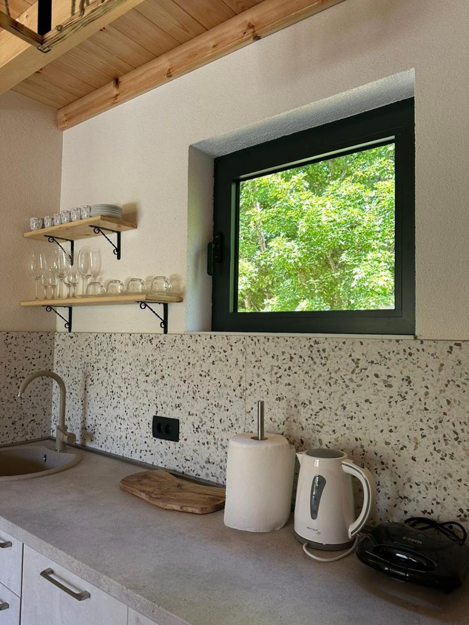Vila Anovi House Žabljak Exteriér fotografie